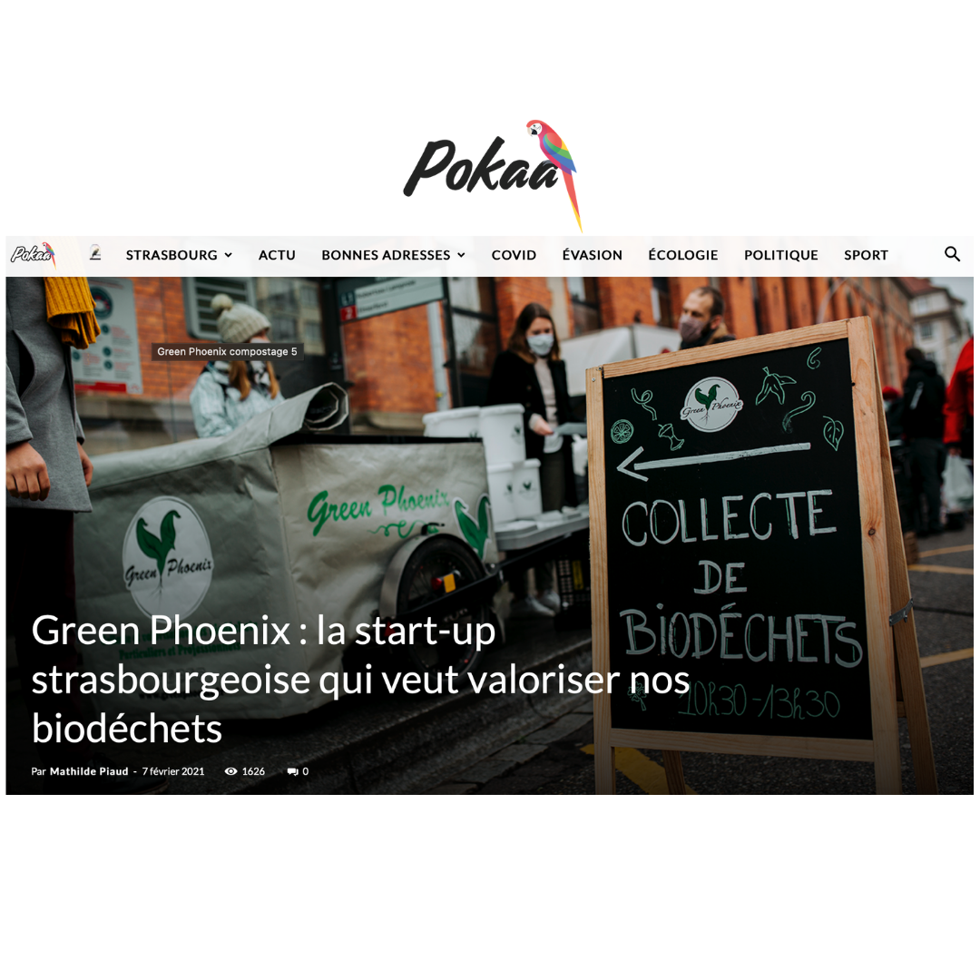 article Green Phoenix Strasbourg