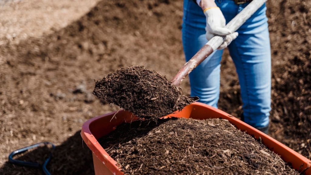 Compost naturel