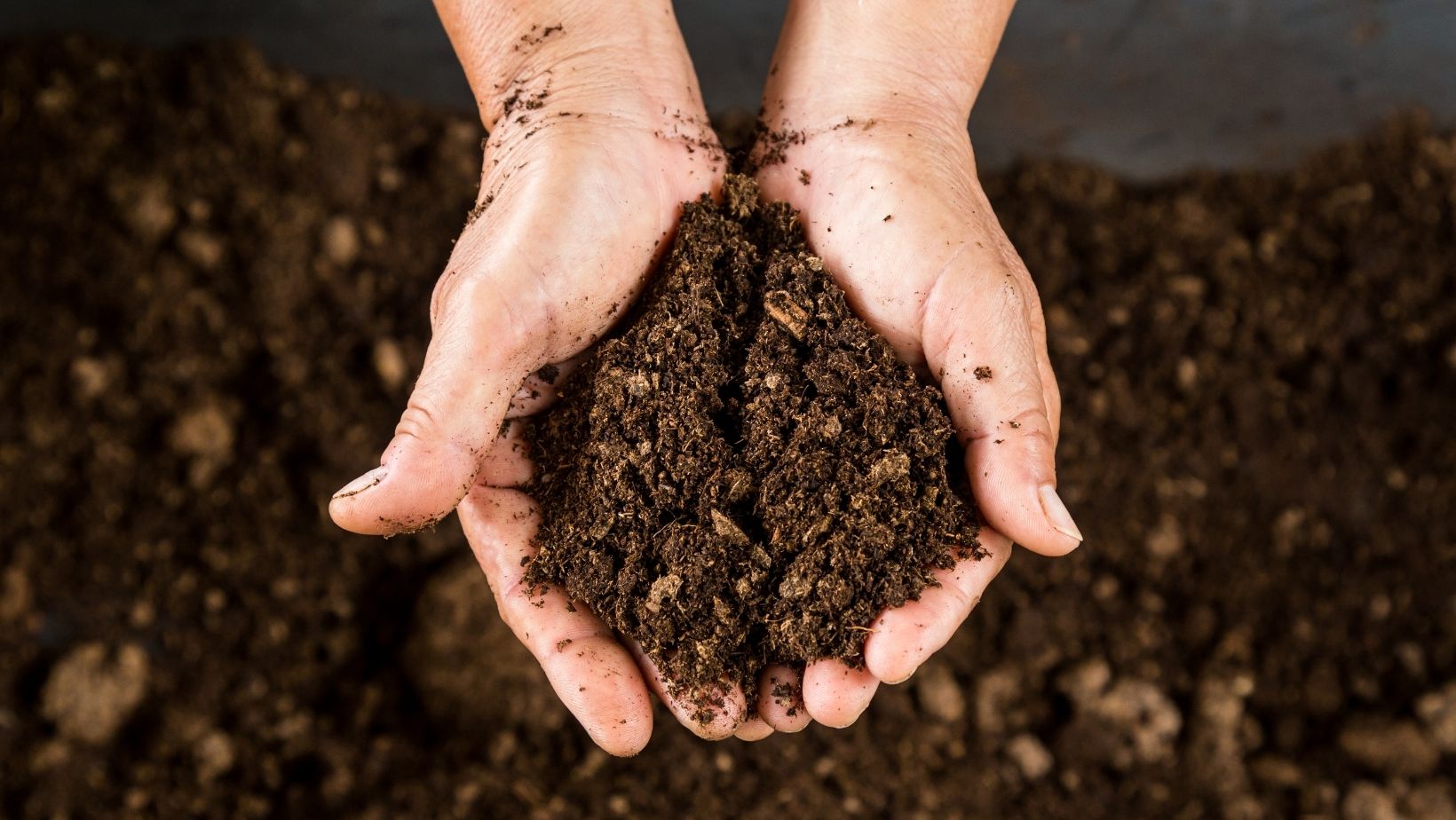 Vente compost naturel