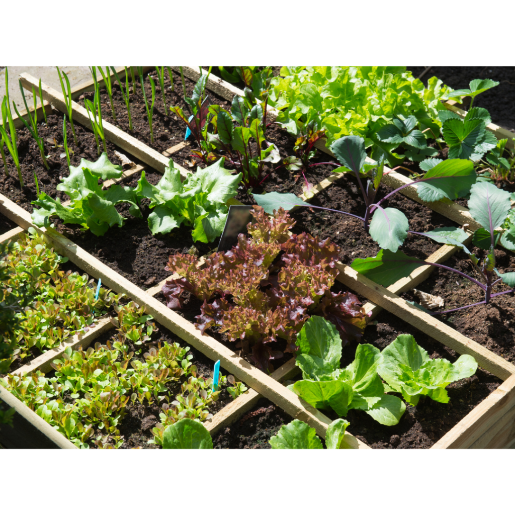 Utiliser con compost